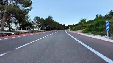 Ağaçlarla kaplı çarpıcı, dolambaçlı bir yolda, doğanın özünü yakalayan bir maceraya atılmak.