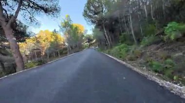 Şaşırtıcı derecede güzel, dolambaçlı bir yol gür ağaçların ve parlak güneş ışığının arasından huzurlu ve sakin bir ortamda geçiyor.