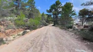 Bereketli ağaçlar ve canlı mavi gökyüzüyle güzel bir şekilde çizilmiş huzurlu, huzurlu toprak bir yolda ilerleyin.