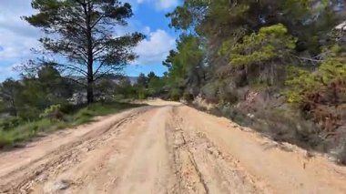 Bereketli yeşil çam ağaçları ve açık mavi gökyüzünün altındaki kayalık arazide zarif bir şekilde dolambaçlı toprak bir yol.