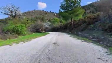 Güzel, resimsi bir çakıl yolu yeşil tepelerin arasından süzülür açık mavi gökyüzünün altında sallanan uzun ağaçlar gibi.