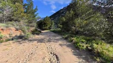 Huzurlu toprak bir patika boyunca huzurlu bir yürüyüş yapın. Etrafı canlı yeşillikler ve görkemli dağlarla çevrili.
