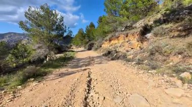 Resimli toprak bir yol bereketli ağaçlar ve dağlarla çevrilidir, heyecan verici açık hava maceraları için idealdir.