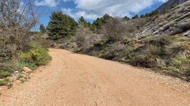 Bereketli yeşillik ve yukarıdaki mavi gökyüzü tarafından çevrelenmiş huzurlu toprak yolu keşfetmek için bir dakikanızı ayırın.