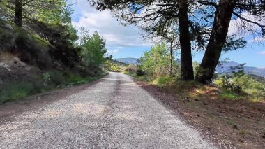 Parlak, berrak bir gökyüzünün altında, canlı, gür yeşillikler arasında zarifçe süzülen gerçekten resimsi bir çakıl yolu.
