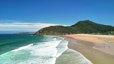 Canlı ve yemyeşil yeşilliklerle çevrili, hafif dalgaların kıyıya vurduğu nefes kesici bir sahil manzarası.