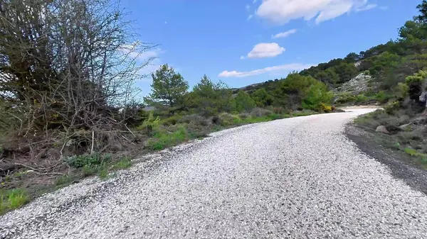 Berrak bir gökyüzünün altında, yemyeşil ve canlı ağaçların arasında dolanan dolambaçlı bir çakıl yolu huzurlu bir ortam yaratıyor.