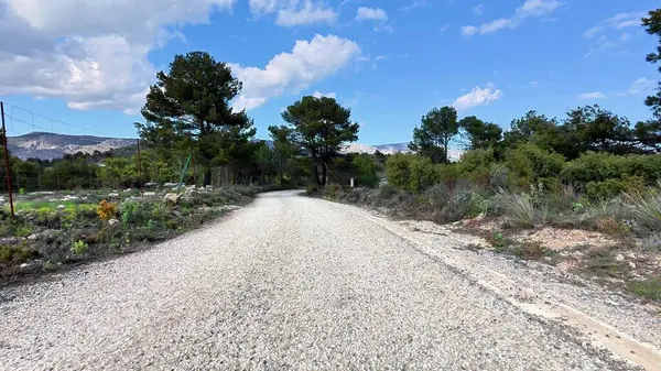 Güzel bir gökyüzü altında yeşil ve görkemli dağlarla çevrili dolambaçlı bir çakıl yolu boyunca bir yolculuğa çıkın.