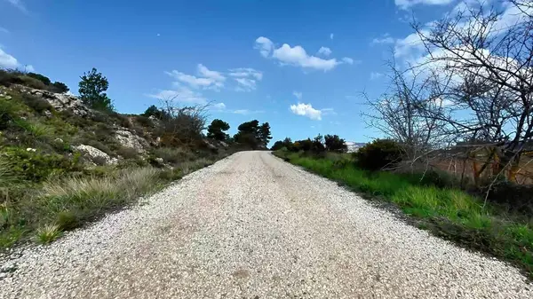 Güzel, berrak mavi gökyüzünün altında verimli ağaçlar ve canlı yeşilliklerle çevrili manzaralı bir çakıl yolu.