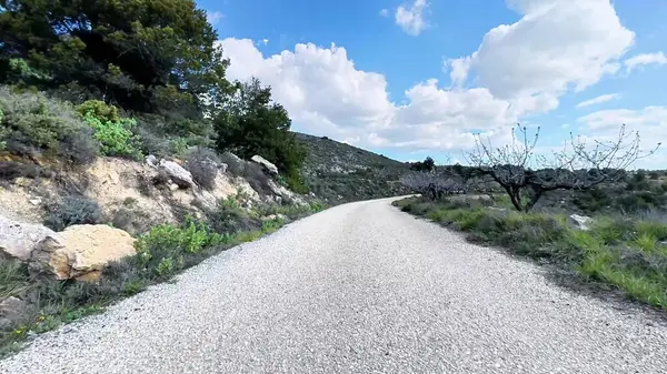 Parlak, güneşli gökyüzünün altındaki yemyeşil tepelerde kıvrılan güzel ve manzaralı bir yol, doğa severler için mükemmel.