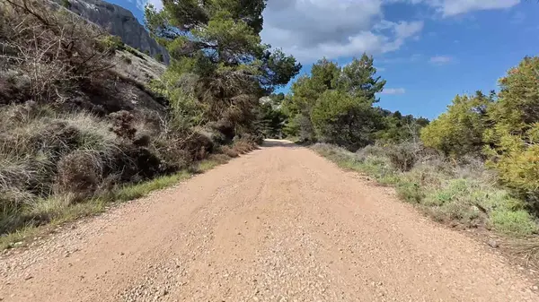 Bereketli ağaçlar ve dağlarla çevrili güzel bir toprak yol keşfet. Açık hava maceraları için mükemmel.