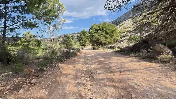 Canlı ağaçlar ve çarpıcı manzaralarla çevrili sakin toprak bir yolda maceraya atılmak.