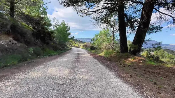Parlak, berrak bir gökyüzünün altında, canlı, gür yeşillikler arasında zarifçe süzülen gerçekten resimsi bir çakıl yolu.