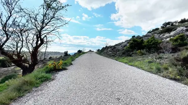 Bereketli yeşillikler ve açık mavi gökyüzü ile çevrili sakin ve sakin bir çakıl yolu. Açık hava maceraları için mükemmel.