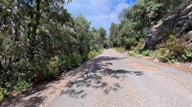 Çevresi bereketli ağaçlarla çevrili, doğa severler ve özgürlüğe ilham veren açık hava maceraları için mükemmel bir yol.