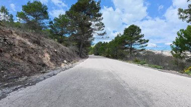 Etrafı canlı ağaçlarla çevrili dolambaçlı bir yolu keşfetmek ve sakin bir manzarada çarpıcı bir gökyüzü manzarası