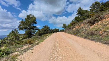 Büyüleyici bir toprak yolun tadını çıkar, bereketli ağaçların ve kabarık bulutların arasında gezinerek büyüleyici bir manzarayı keşfetmeye davet et.