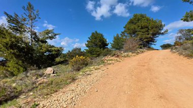Canlı ağaçların ve mavi gökyüzünün ortasında yürüyüş ve doğa yürüyüşleri için ideal, huzurlu bir toprak yol keşfedin..