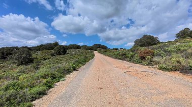 Bereketli yeşilliklerle çevrili güzel ve pitoresk bir toprak yol canlı renkli bir gökyüzünün altında uzanır.