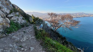 Bu çarpıcı kıyı manzarası berrak mavi suları büyüleyici bir şekilde kayalık araziyle çelişiyor.