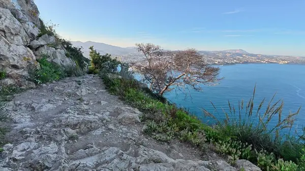 Görkemli dağları ve parlak mavi gökyüzü ile deniz kenarında tünemiş yalnız bir martı manzarası.
