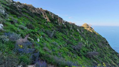 Okyanus manzarasıyla kıyı şeridi boyunca uzanan canlı araziyi keşfetmek için bir maceraya atılın.
