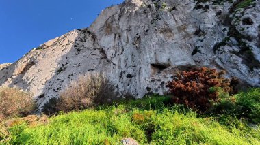 Görkemli uçurumlar ve canlı, yemyeşil bitki örtüsüyle çevrili muhteşem bir kıyı yolu manzarası.