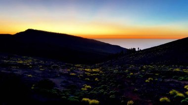 Nefes kesici bir gün batımı manzarası dalgalı tepeler ve tatlı çiçeklerin üzerine yayılan canlı renkleri ortaya çıkarıyor.