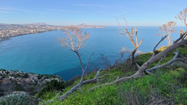 Serin mavi sular ve canlı yeşillik manzarası sunan güzel kıyı şeritlerini keşfedin ve dolaşın.