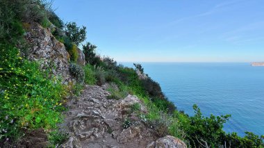 Deniz üzerindeki manzaralı bir patikadan çarpıcı görüntüler büyüleyici, canlı, gür bitki yaşamlarıyla çevrili.