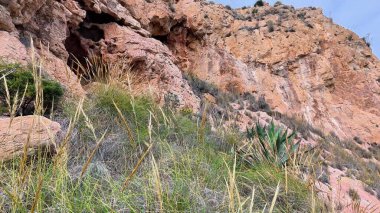 Sersemletici bir panoramik manzara, parlak otlar ve açık mavi gökyüzü altında yemyeşil çalılarla süslenmiş kayalık arazi.