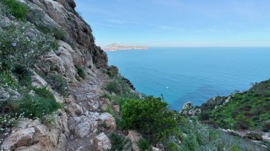 Gelin ve nefes kesici okyanus manzarası ve canlı, yemyeşil bir yer sunan güzel bir kıyı yolunu keşfedin.