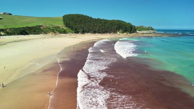Göz kamaştırıcı bir hava manzarası. Huzurlu bir kumsal yakalıyor. Hafif dalgalar ve canlı yemyeşil bir yer.