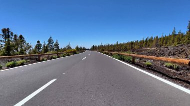 Canlı çam ağaçları ve parlak mavi gökyüzü ile süslenmiş pitoresk bir yol. Keyifli yolculuklar için gerçekten mükemmel.