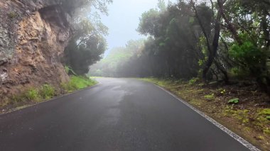 Sakin, sisli bir yol, bereketli ve canlı bir ormanın içinden yavaşça geçiyor, keşif ve maceraya davetiye çıkarıyor.