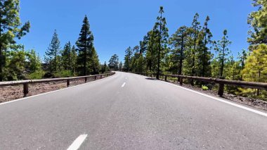 Canlı ağaçlarla çevrili güzel, dolambaçlı bir yol ve berrak mavi bir gökyüzü, gezginler için ideal.