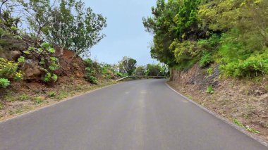 Huzurlu ve dolambaçlı bir yol olağanüstü canlı bitki örtüsü ve çarpıcı doğal manzarayla kaplıdır.