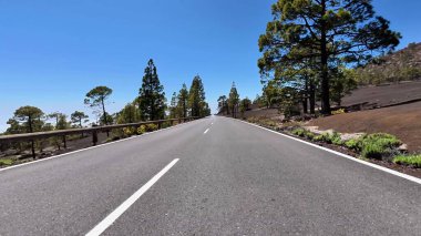 Uzun çam ağaçları ve açık mavi gökyüzü tarafından kucaklanan bu huzurlu ve huzurlu yolda sakin bir yolculuğa çıkın.