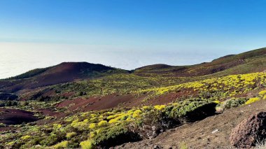 Açık mavi gökyüzüne karşı canlı sarı bitkilerle süslenmiş volkanik bir manzaranın nefes kesici görüntüsü..