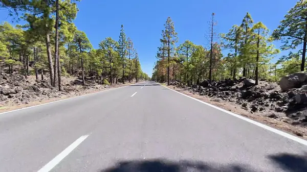 Bereketli ağaçlar ve eşsiz volkanik araziyle çevrili sakin bir yolun çarpıcı güzelliğini yakalayın.