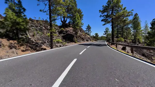 Göz kamaştırıcı derecede güzel ve dolambaçlı bir yol gür yeşil çam ağaçları ve kayalık arazide berrak mavi bir gökyüzünün altında yol alır.