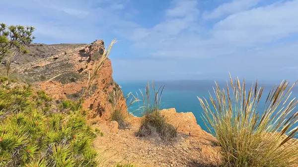 Sersemletici ve etkileyici kayalıklar, bereketli, canlı bitki örtüsüyle sakin bir okyanus manzarasına göz yumacaklar.
