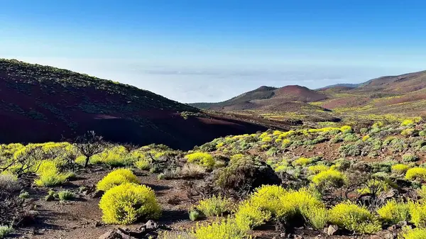 Büyüleyici volkanik bir manzarayı keşfedin. Canlı sarı bitki örtüsü ve nefes kesici panoramik manzarası olan.