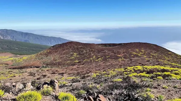 Volkanik arazinin nefes kesici manzarası canlı sarı çiçeklerle süslenmiş bulutlu bir zemin üzerinde..
