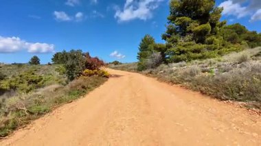 Güzel manzaralı toprak bir yol zarif bir şekilde kıvrımlı ve yemyeşil, güneşli bir günde.
