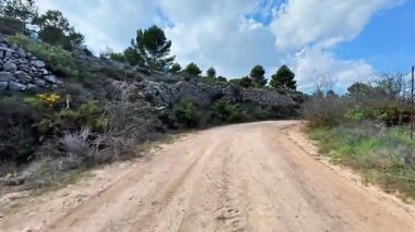 Resmedilmeye değer ve sakin toprak yol berrak mavi gökyüzünün altında canlı, yemyeşil bir bitki örtüsünün içinden geçiyor.
