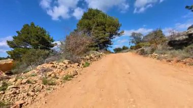 Canlı ağaçların ve mavi gökyüzünün ortasında yürüyüş ve doğa yürüyüşleri için ideal, huzurlu bir toprak yol keşfedin..