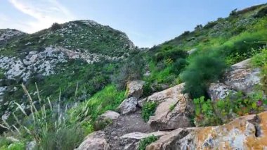Gelin ve yemyeşil ve nefes kesici manzaralarla dolu güzel bir dağ yolunu keşfedin.