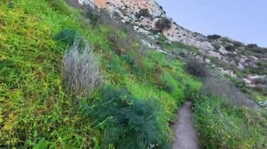 Canlı yeşilliklerle dolu nefes kesen bir kıyı şeridi boyunca esen güzel bir yürüyüş yolunun tadını çıkarın.