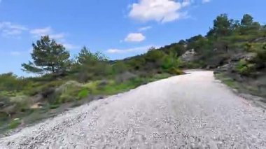 Berrak bir gökyüzünün altında, yemyeşil ve canlı ağaçların arasında dolanan dolambaçlı bir çakıl yolu huzurlu bir ortam yaratıyor.